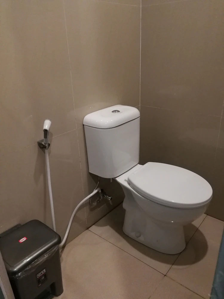 Sleepy Raccoon Hostel