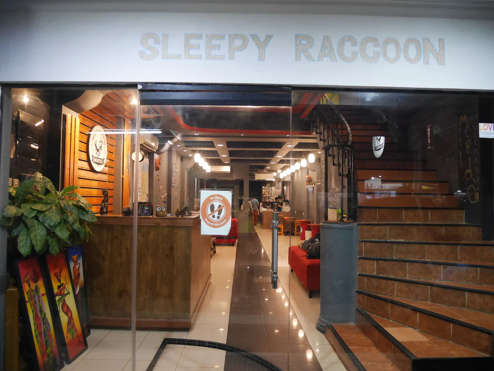 Sleepy Raccoon Hostel