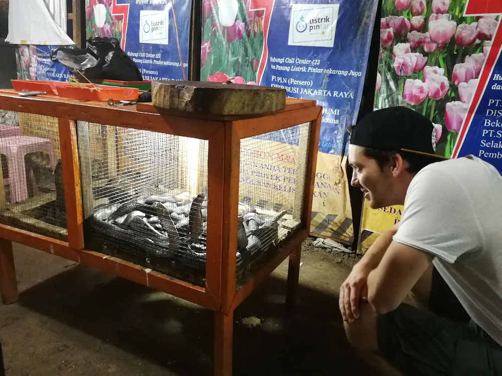 Sleepy Raccoon Hostel