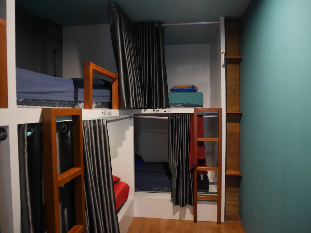 Sleepy Raccoon Hostel