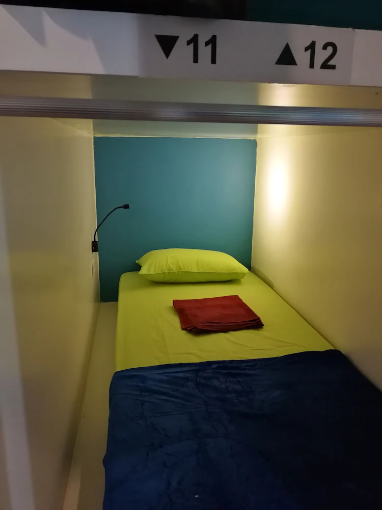 Sleepy Raccoon Hostel