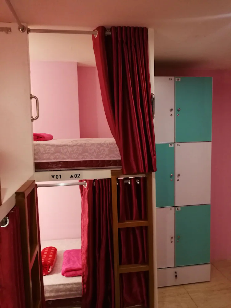 Sleepy Raccoon Hostel