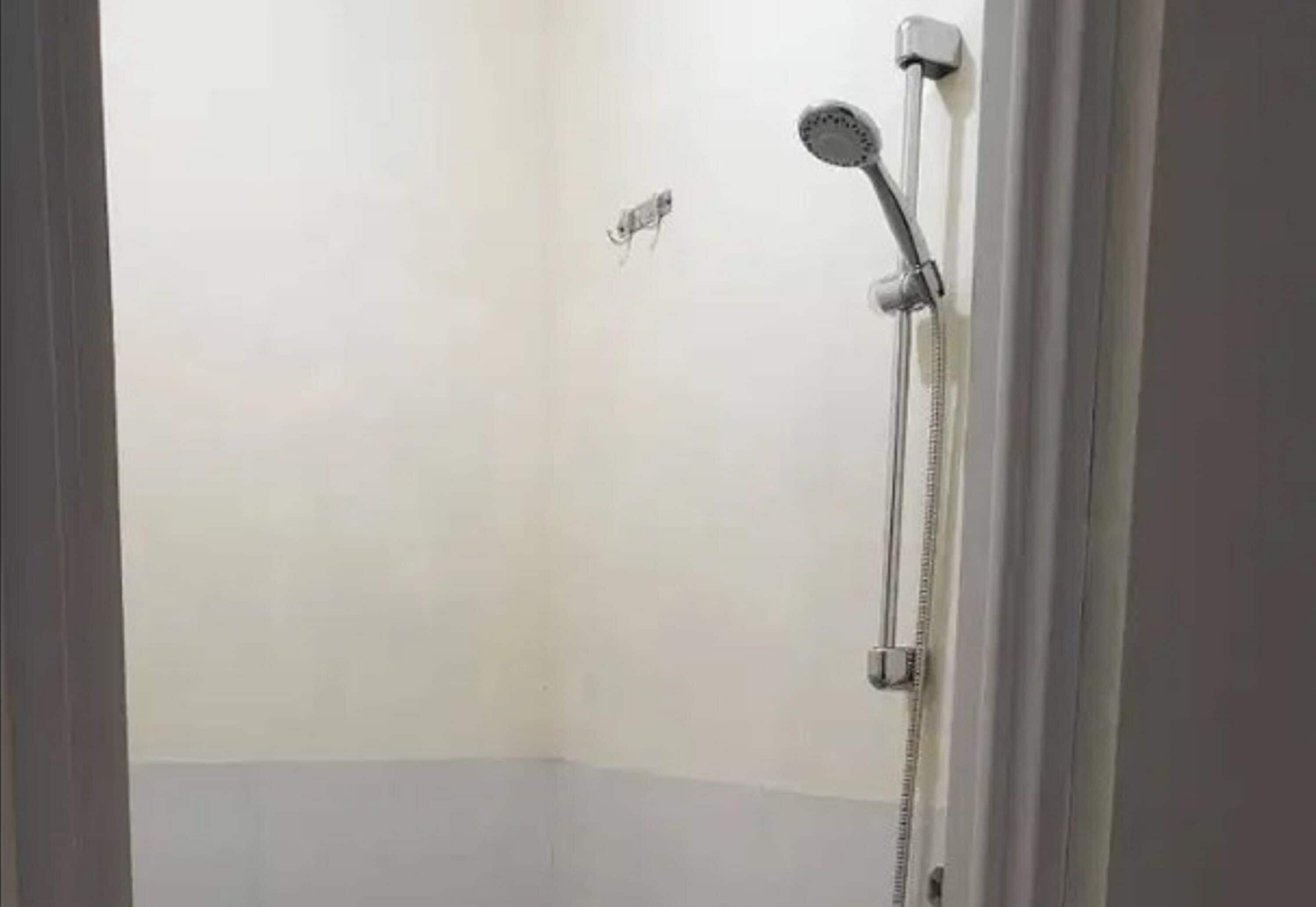 Spot On 93997 Sutangkas Kost