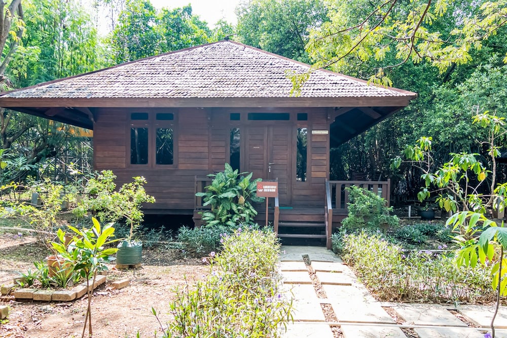 Taman Wisata Mangrove by RedDooz