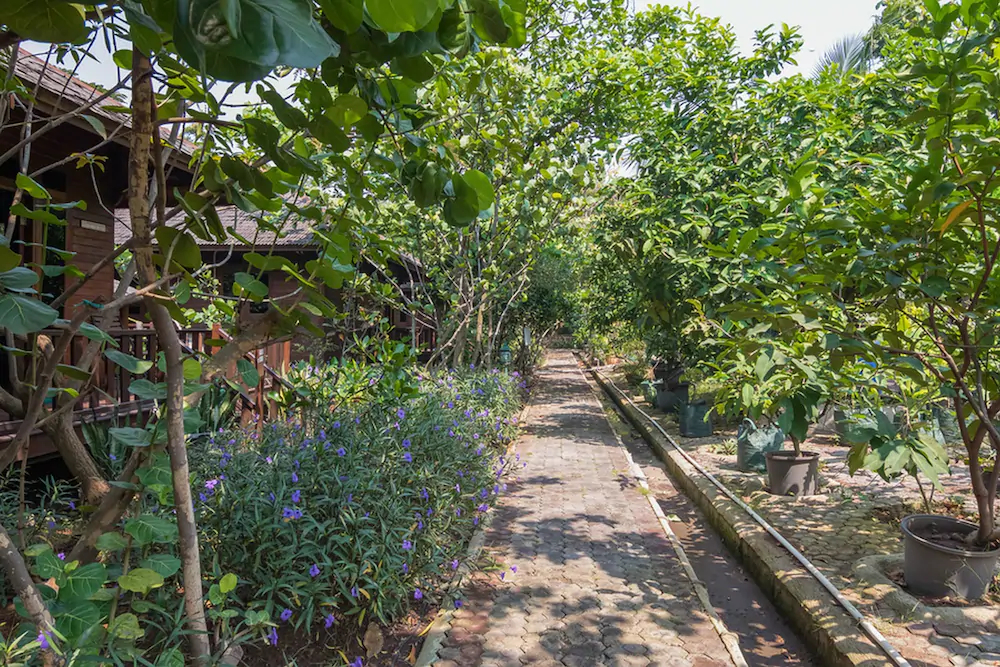 Taman Wisata Mangrove by RedDooz