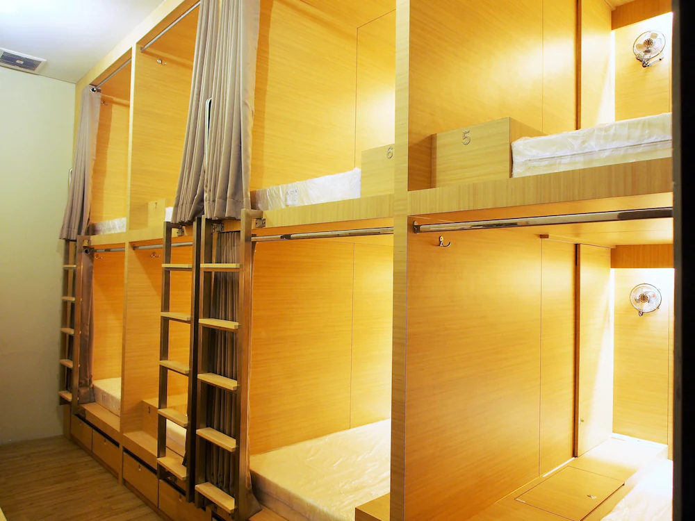 The Packer Lodge Hostel