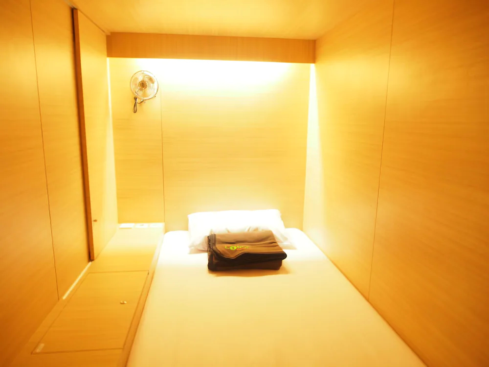 The Packer Lodge Hostel