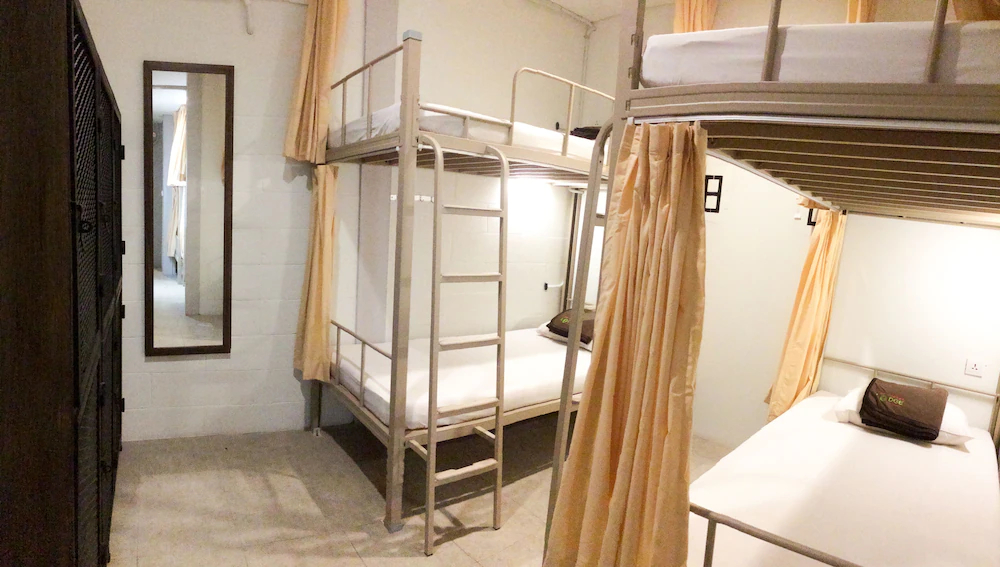 The Packer Lodge Hostel