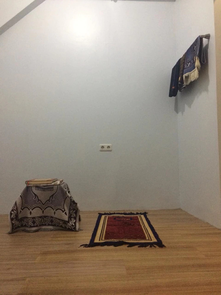 The Packer Lodge Hostel