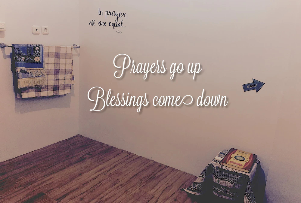 The Packer Lodge Hostel