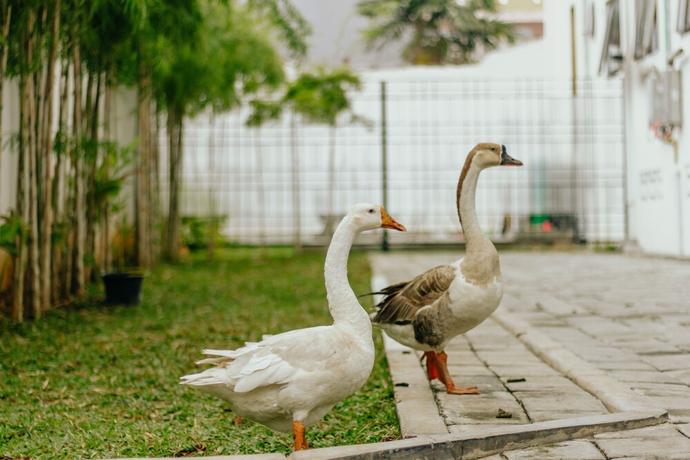 Urbanest Inn House Slipi