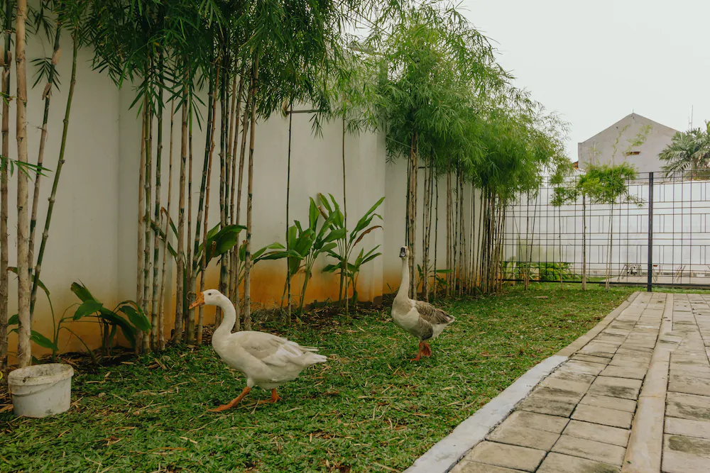 Urbanest Inn House Slipi