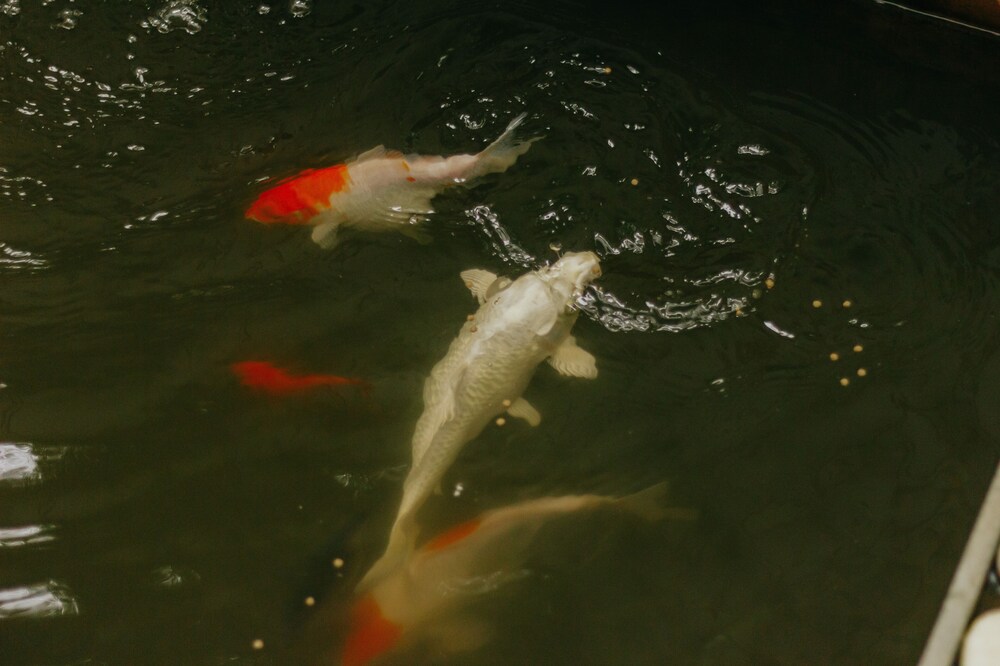 Urbanest Inn House Slipi