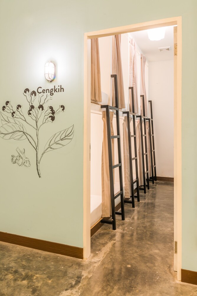 Wonderloft Hostel