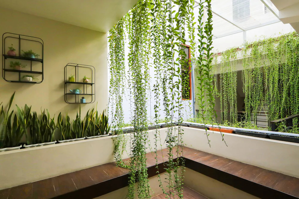 Albani's Family Residence by OYO Rooms