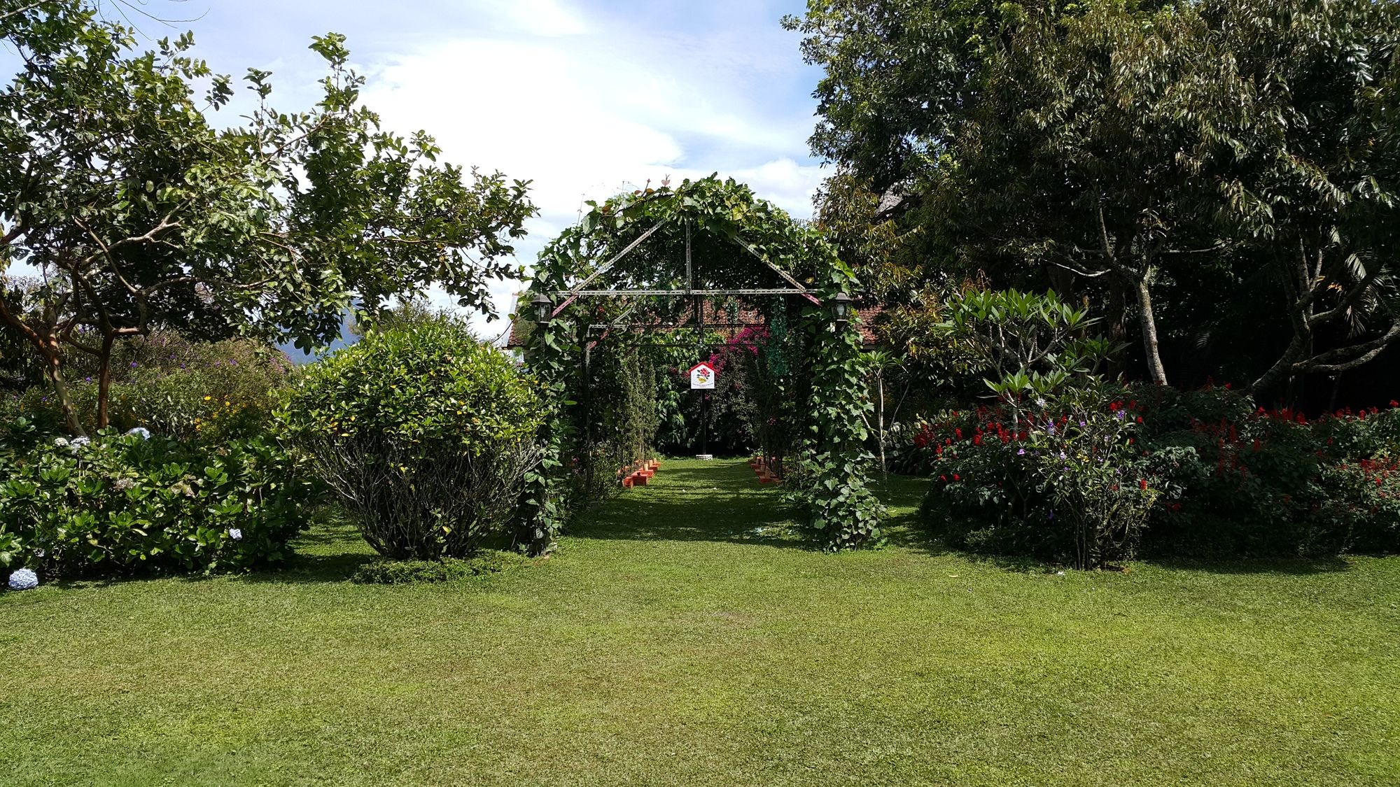 Vila Bunga Merah Gelatik