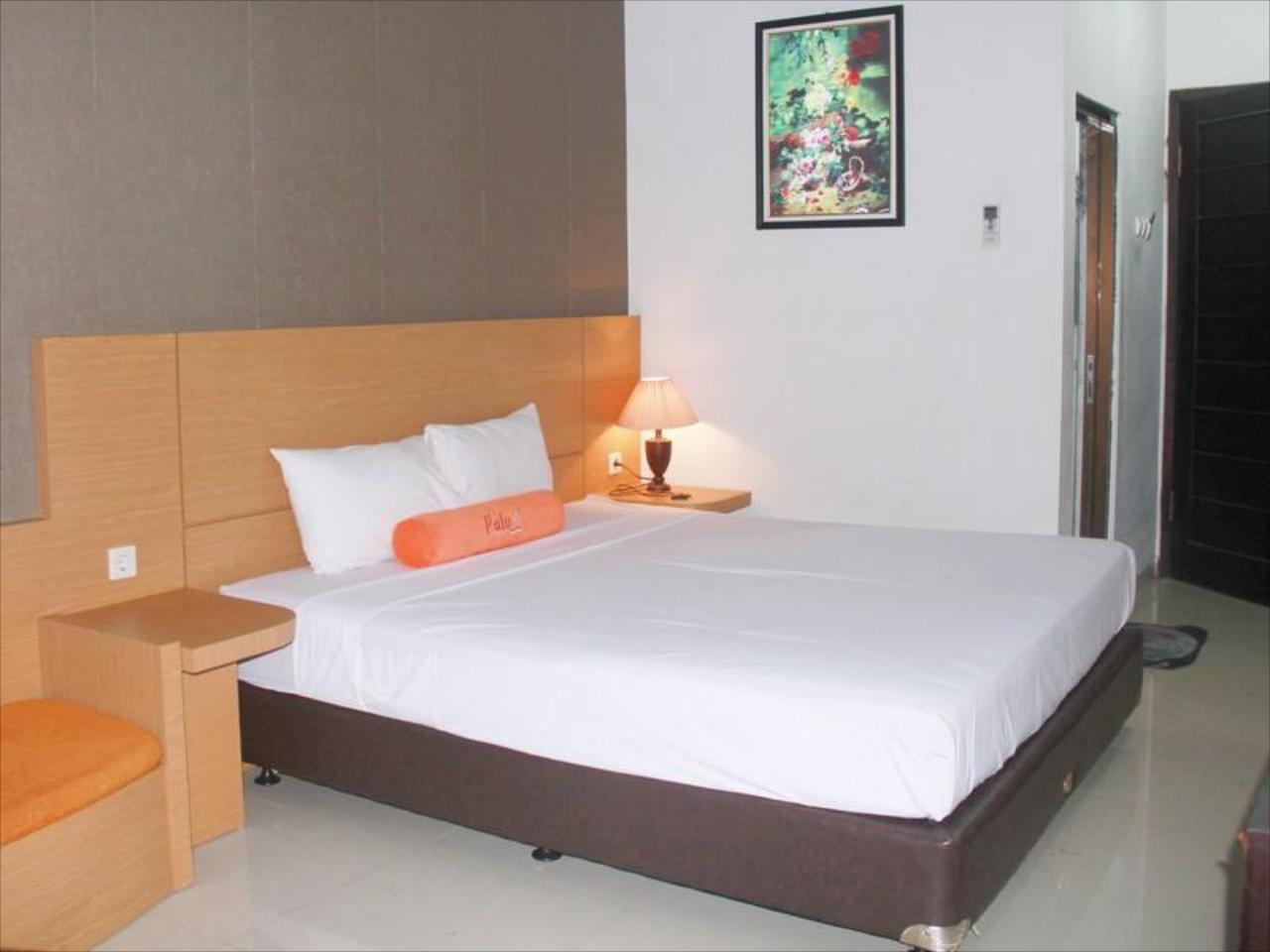 Hotel Paluvi