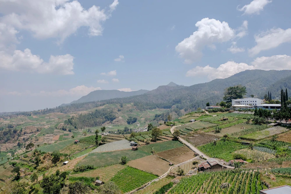 Tanggulasi Resto & Residence by OYO Rooms