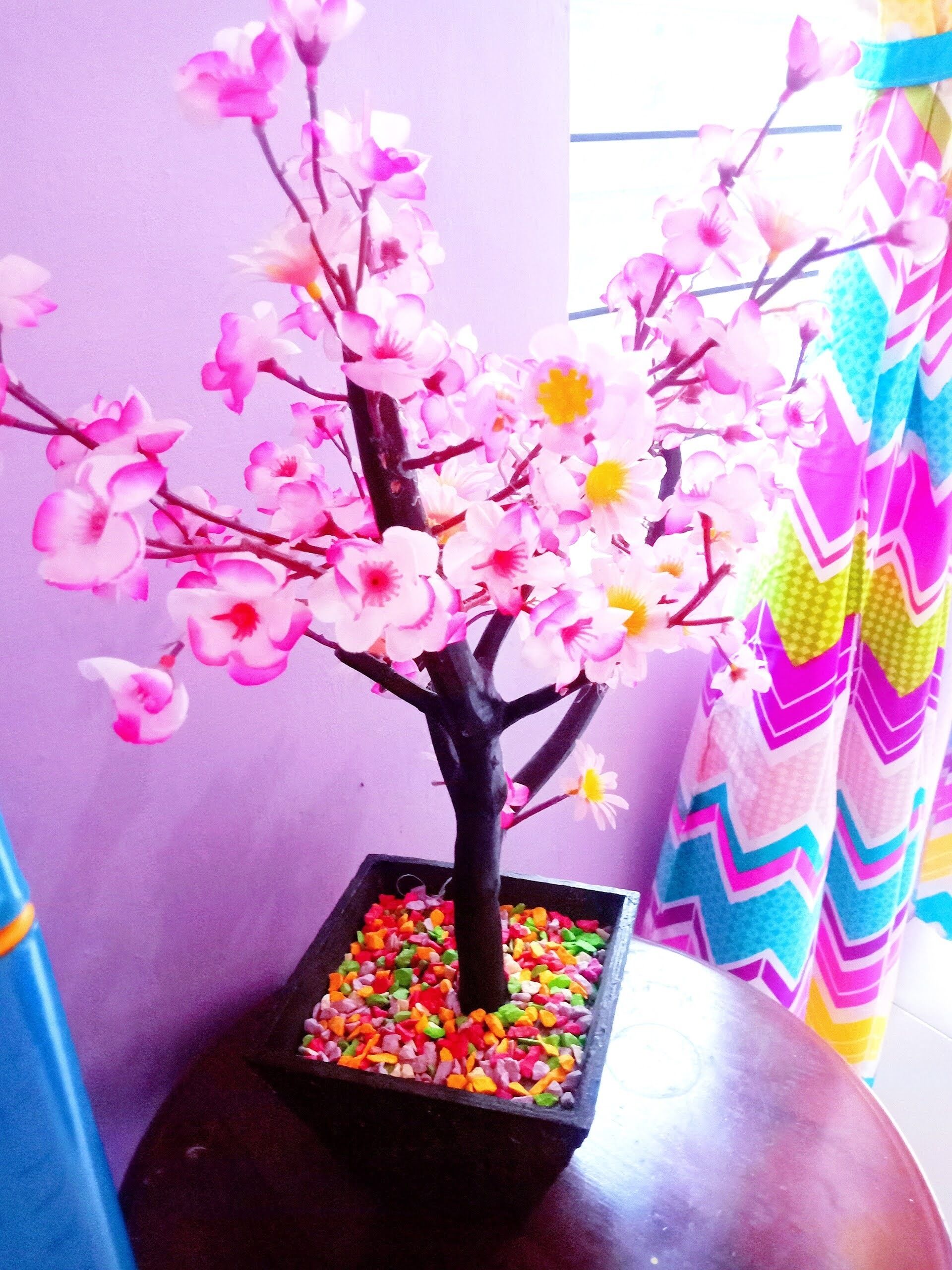 Kost Harian Semarang Murah