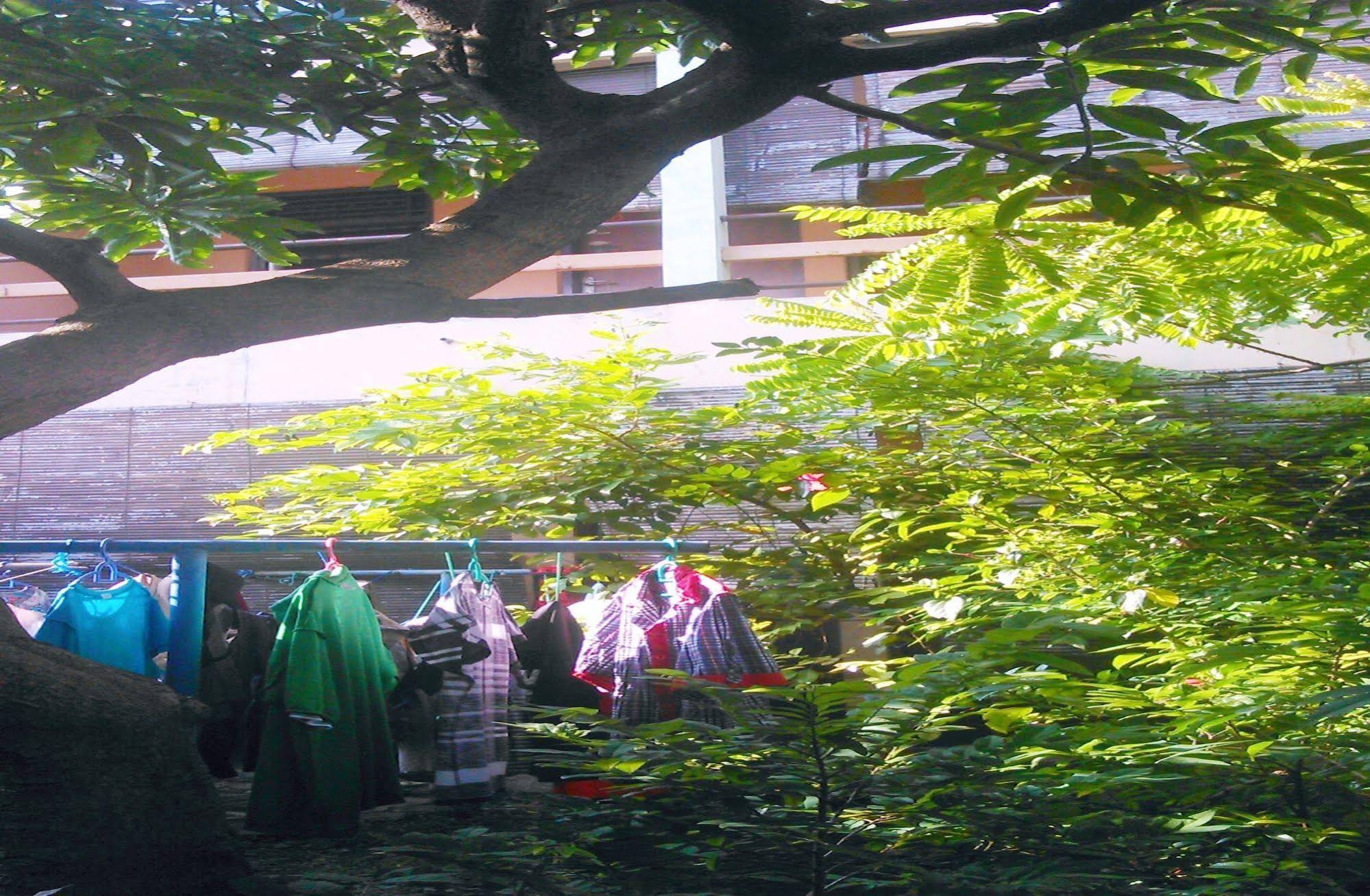 Kost Semarang Peterongan Timur