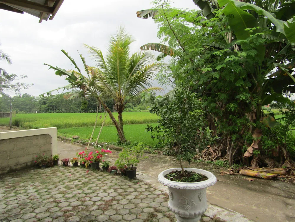 Omah View Sawah