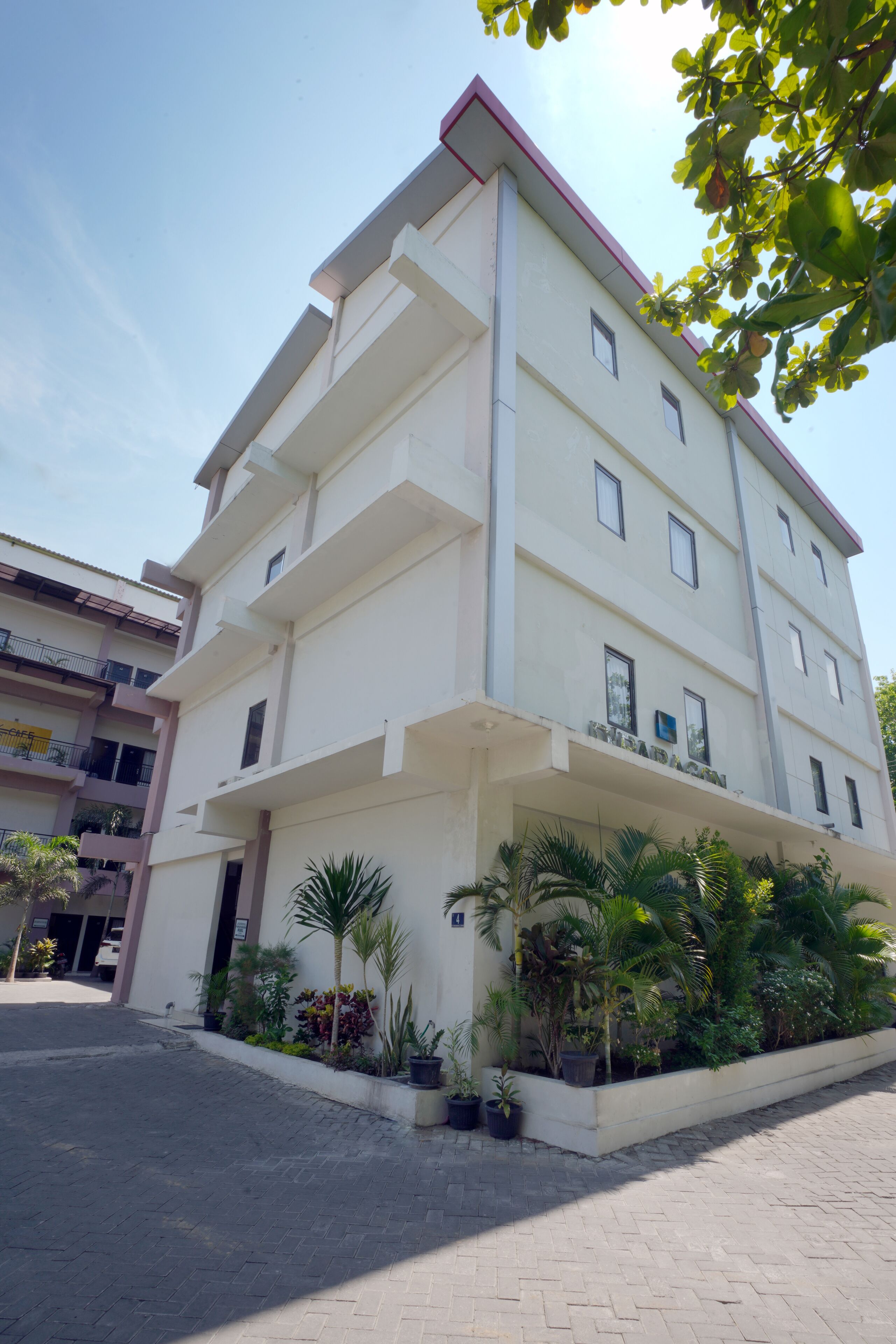 D'Paragon Medokan Ayu