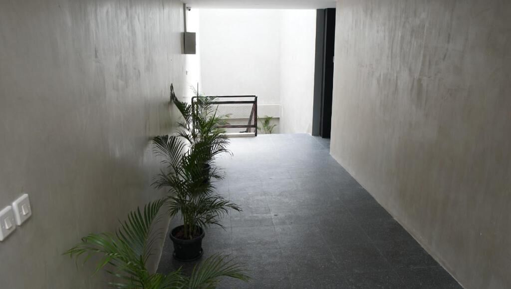 D’Paragon Kerten Solo