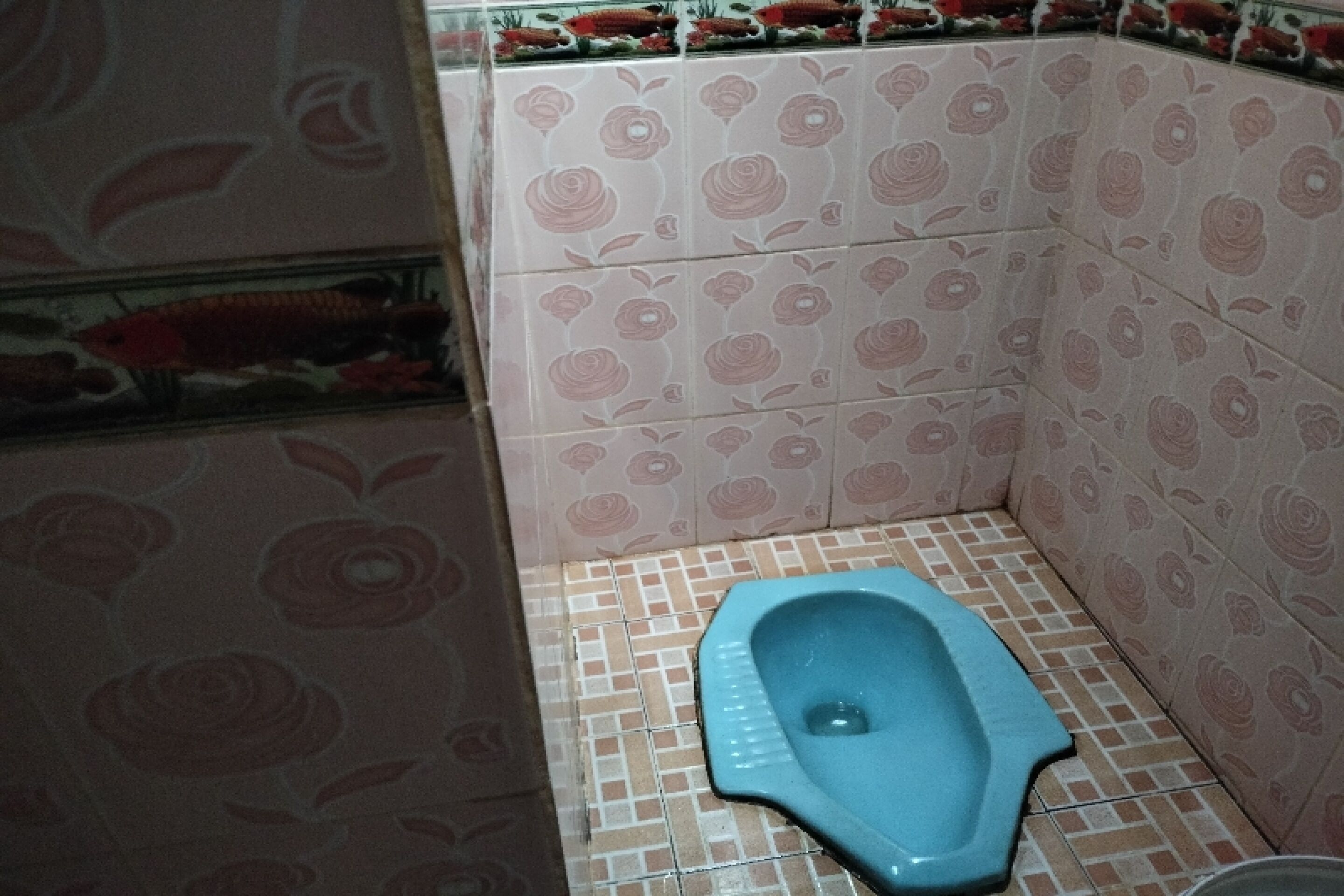 OYO Home 91250 Desa Wisata Taraju