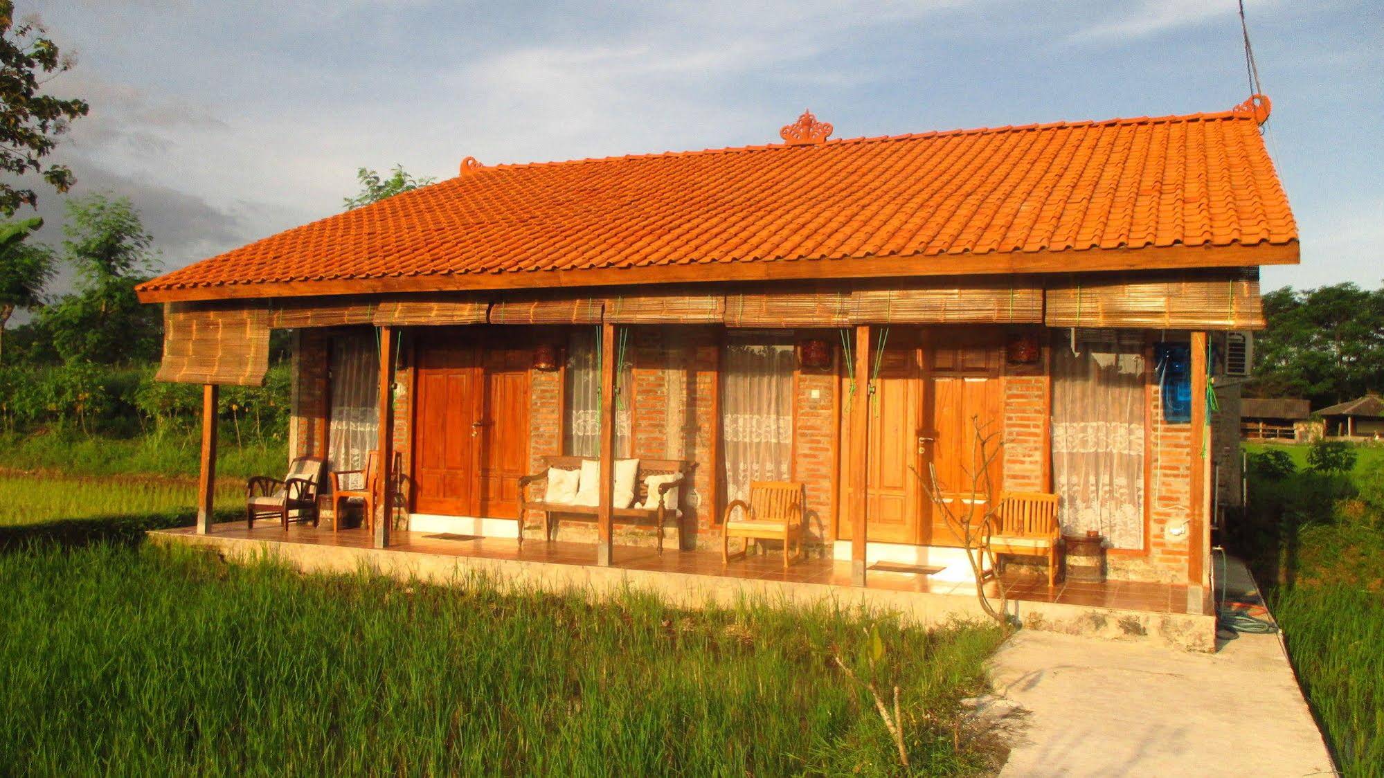 Alamanda Villa's Rooms & Adventure