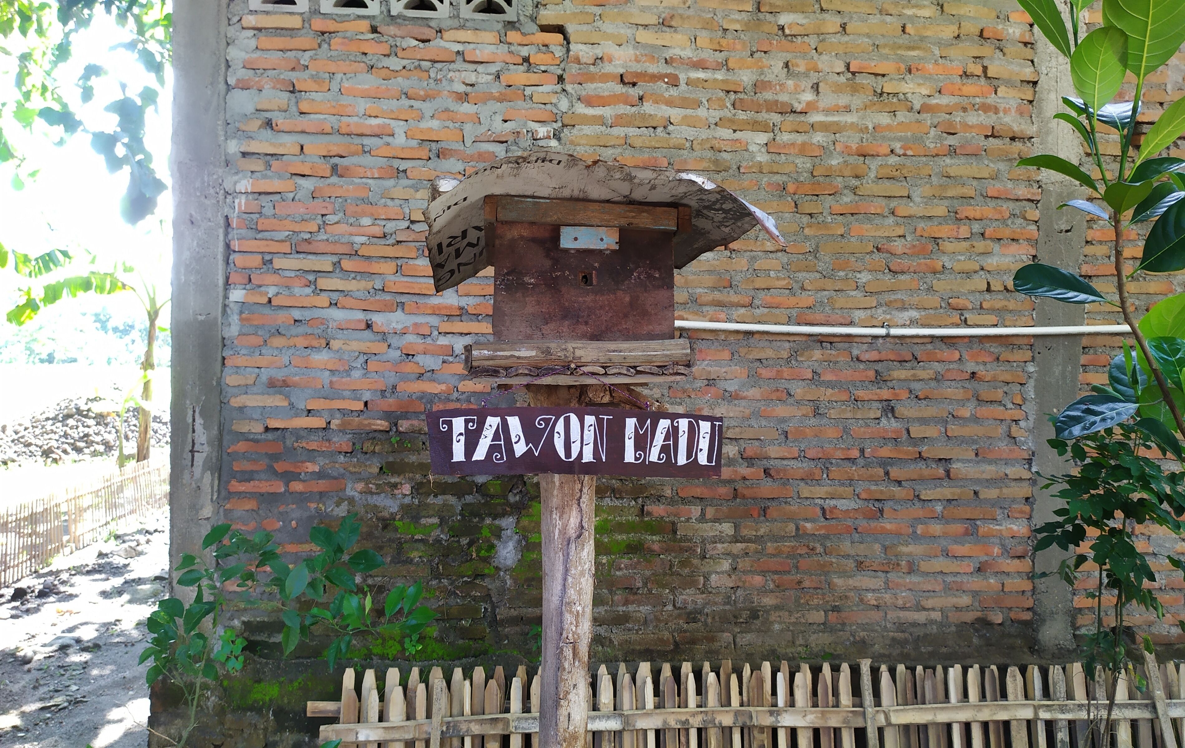 Homestay Mbah Cip Sriharjo