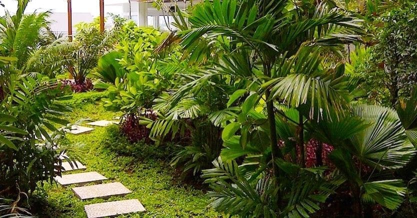 Jambuluwuk Malioboro Hotel Yogyakarta