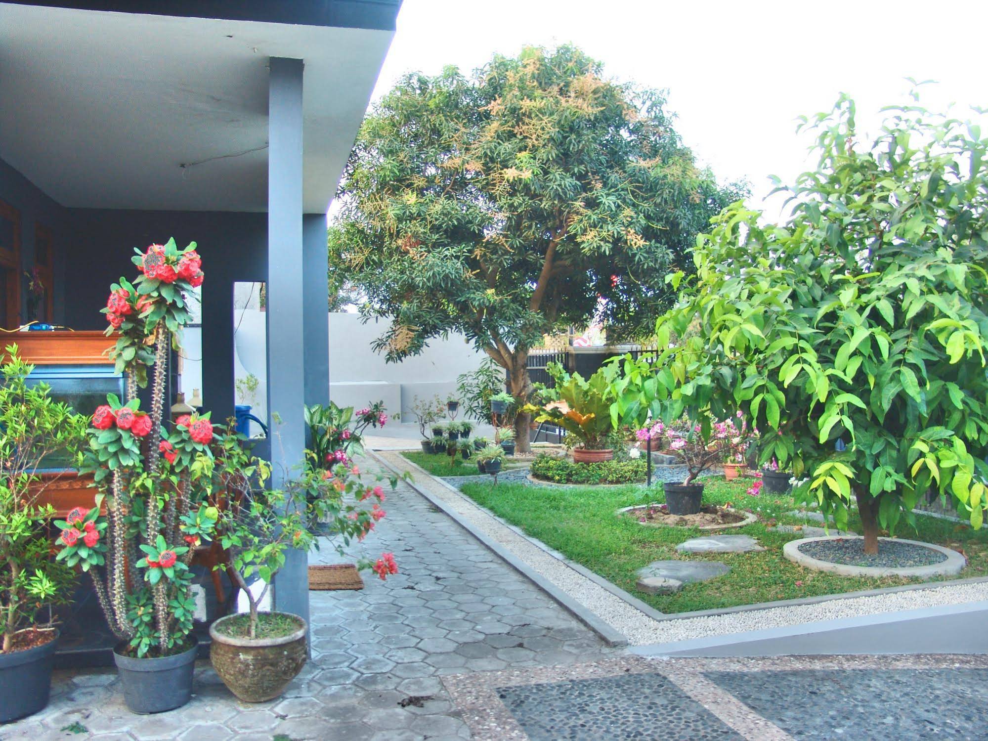Jogja Classic Homestay