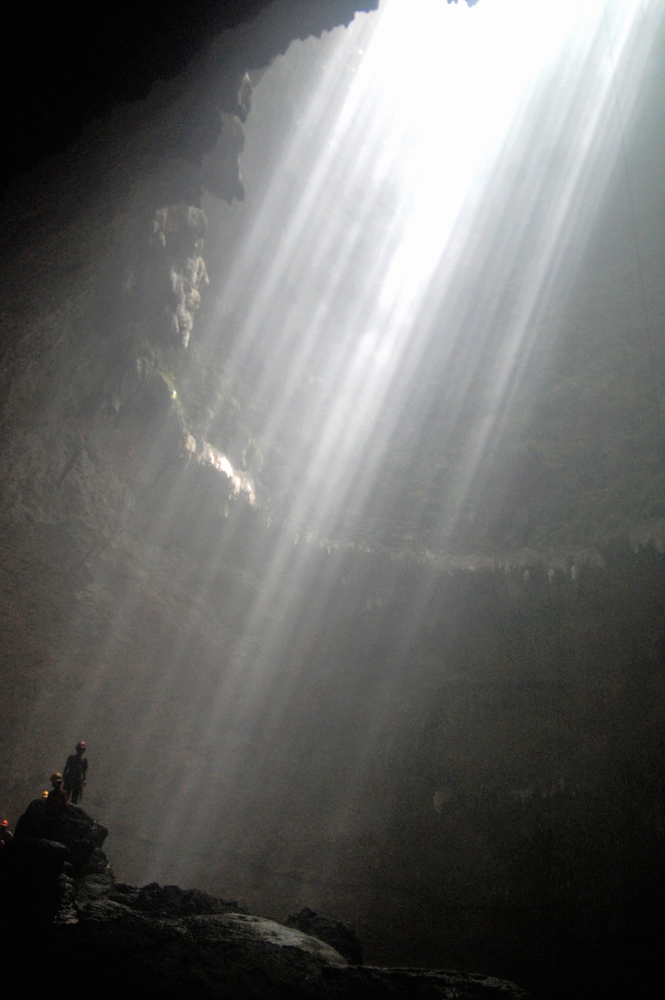 Mango Tree Dipudjo Homestay