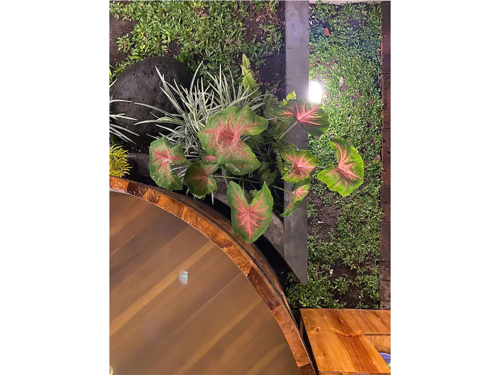 Wonderloft Hostel Jogja