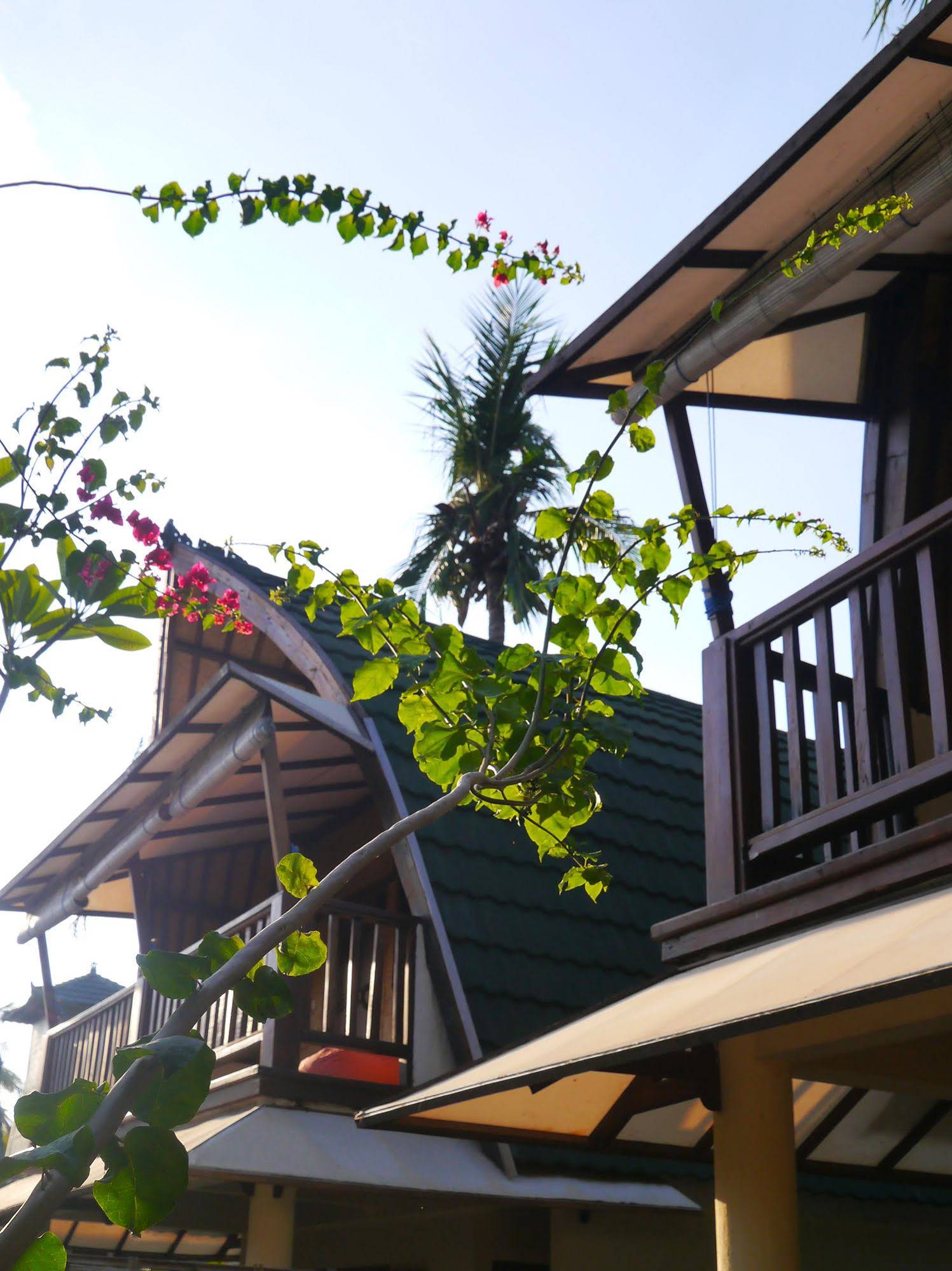 7Seas Cottages