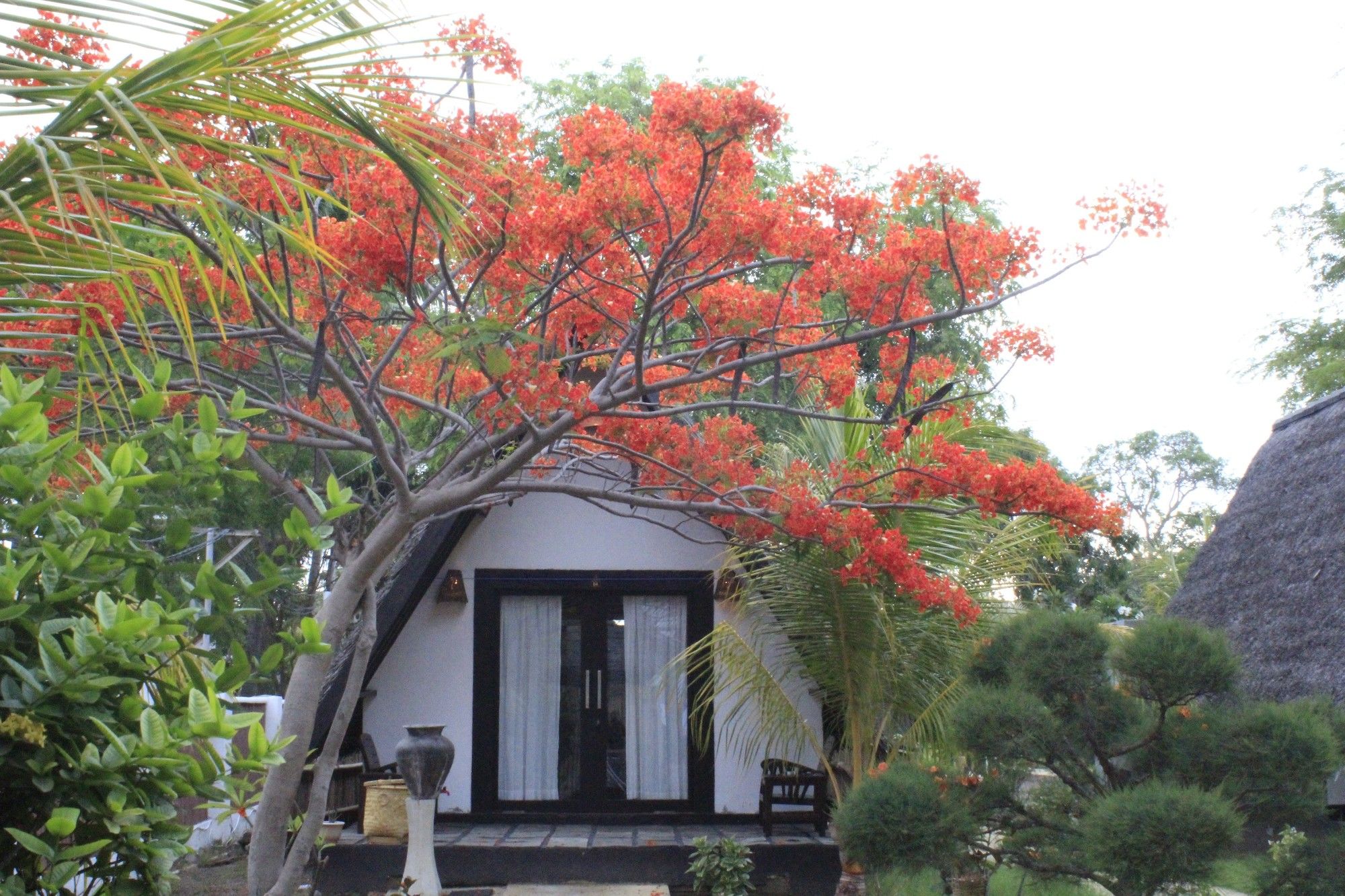 Kaluku Gili Resort