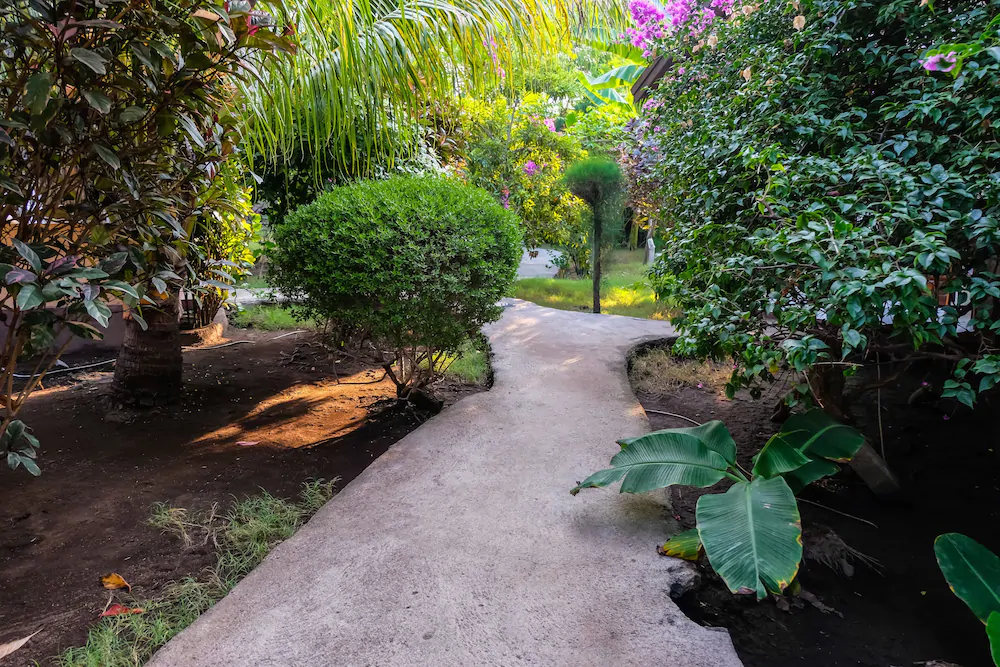Nelly Homestay
