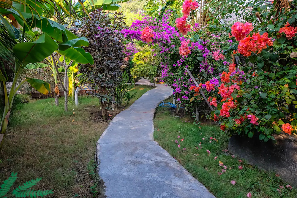 Nelly Homestay