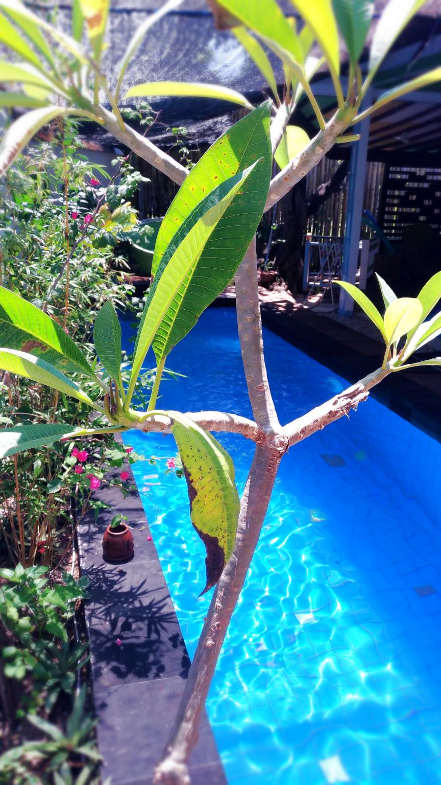 Villa Casa Mio