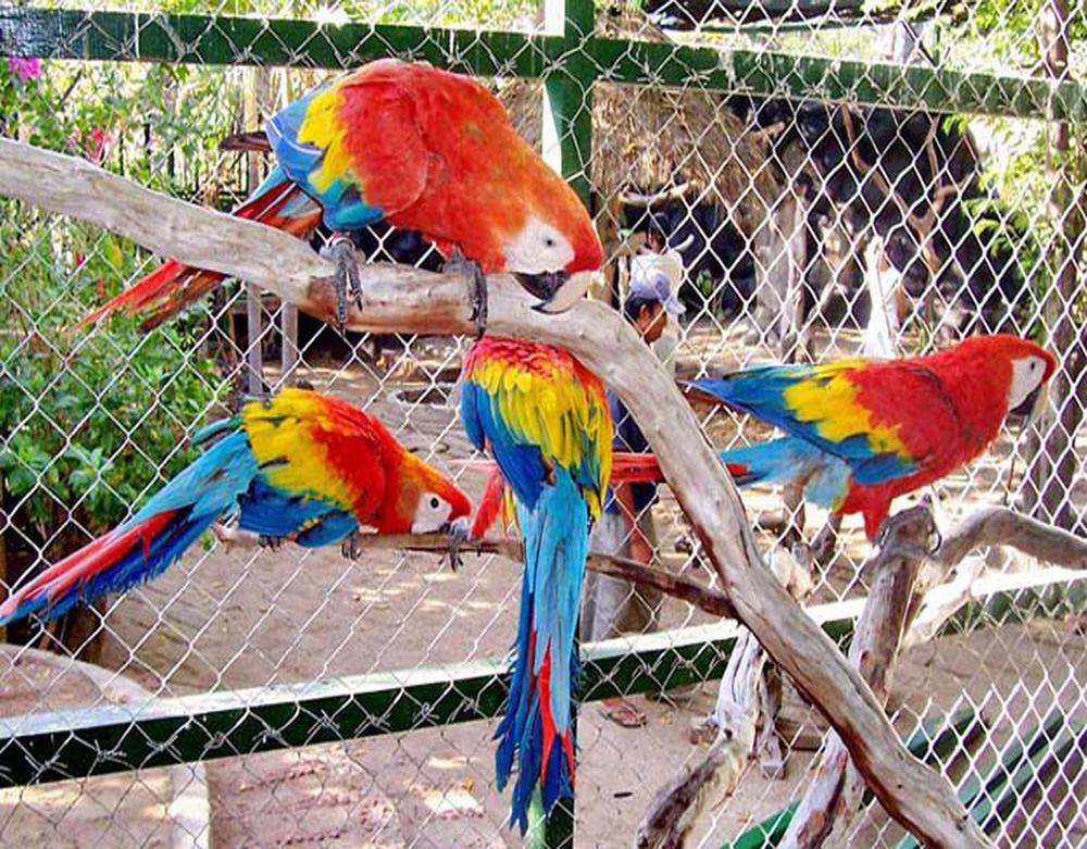 Gili Meno Garden Lodge