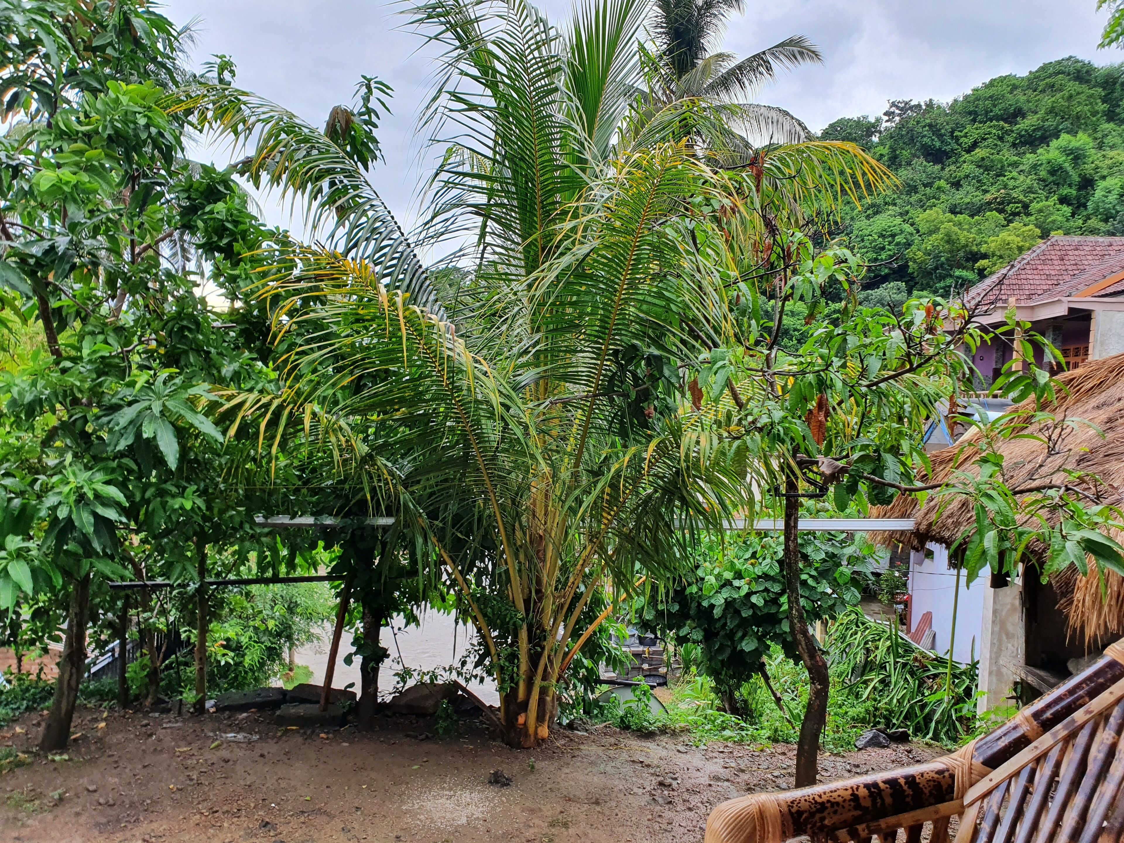 Gani Homestay