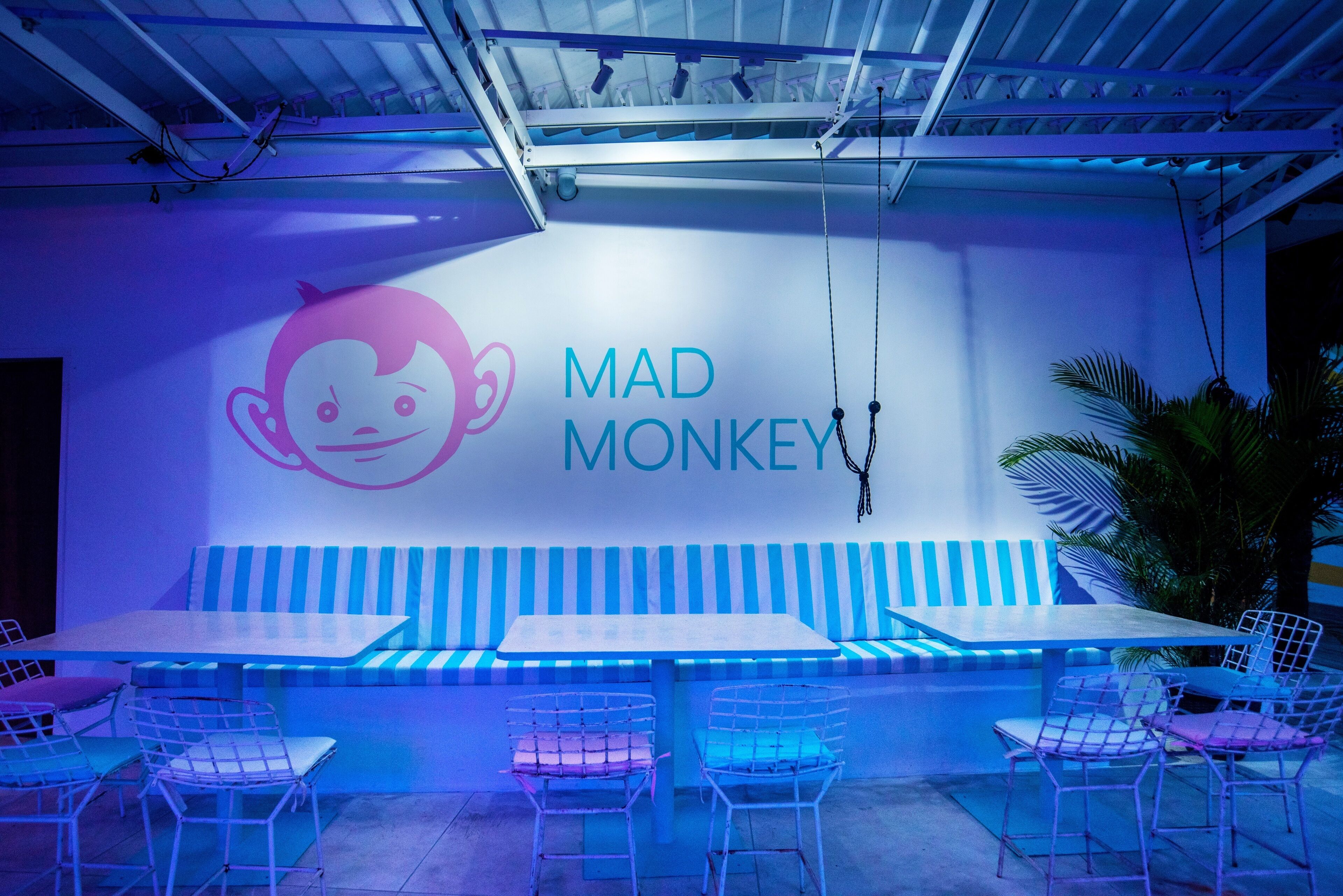 Mad Monkey Kuta Lombok