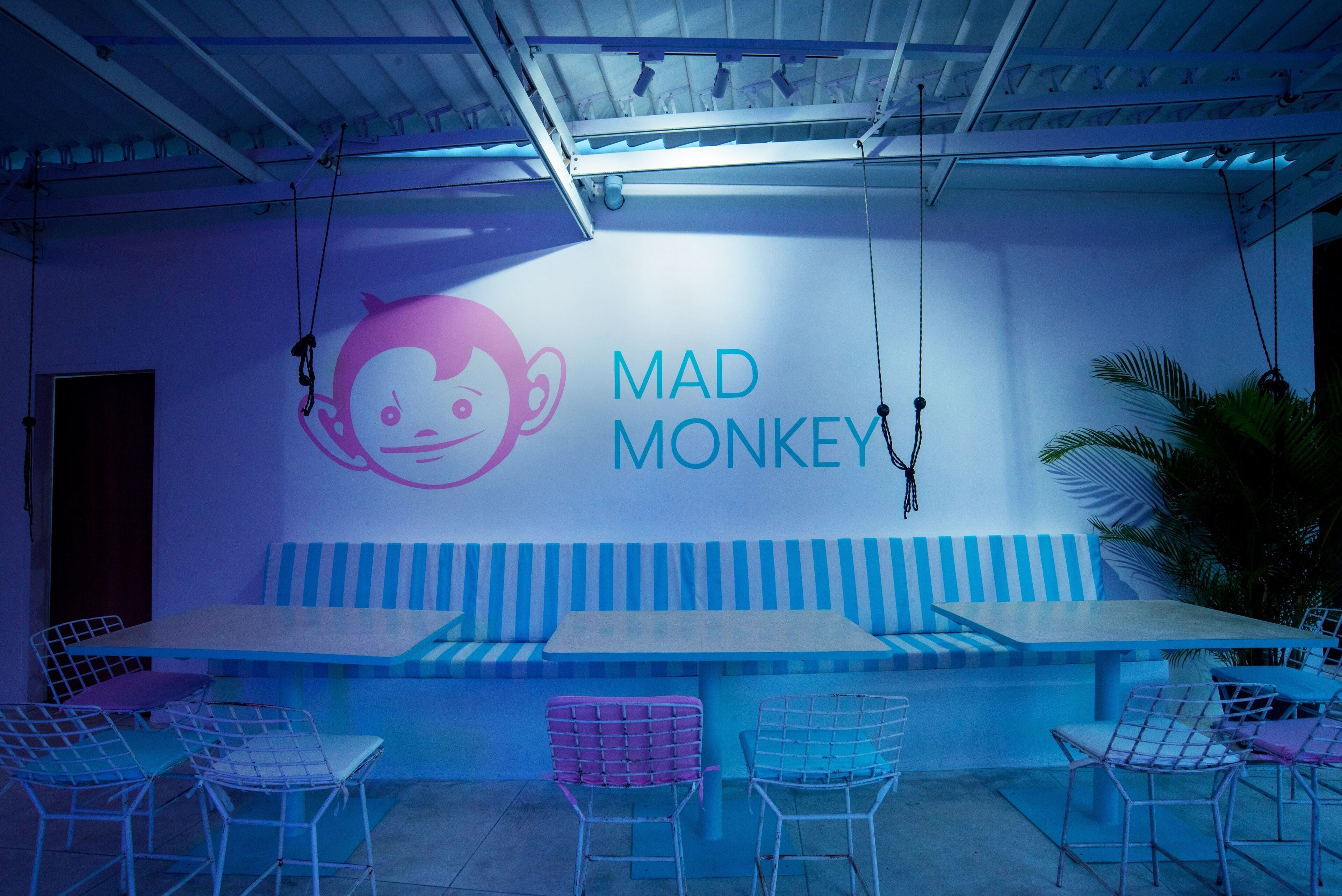 Mad Monkey Kuta Lombok
