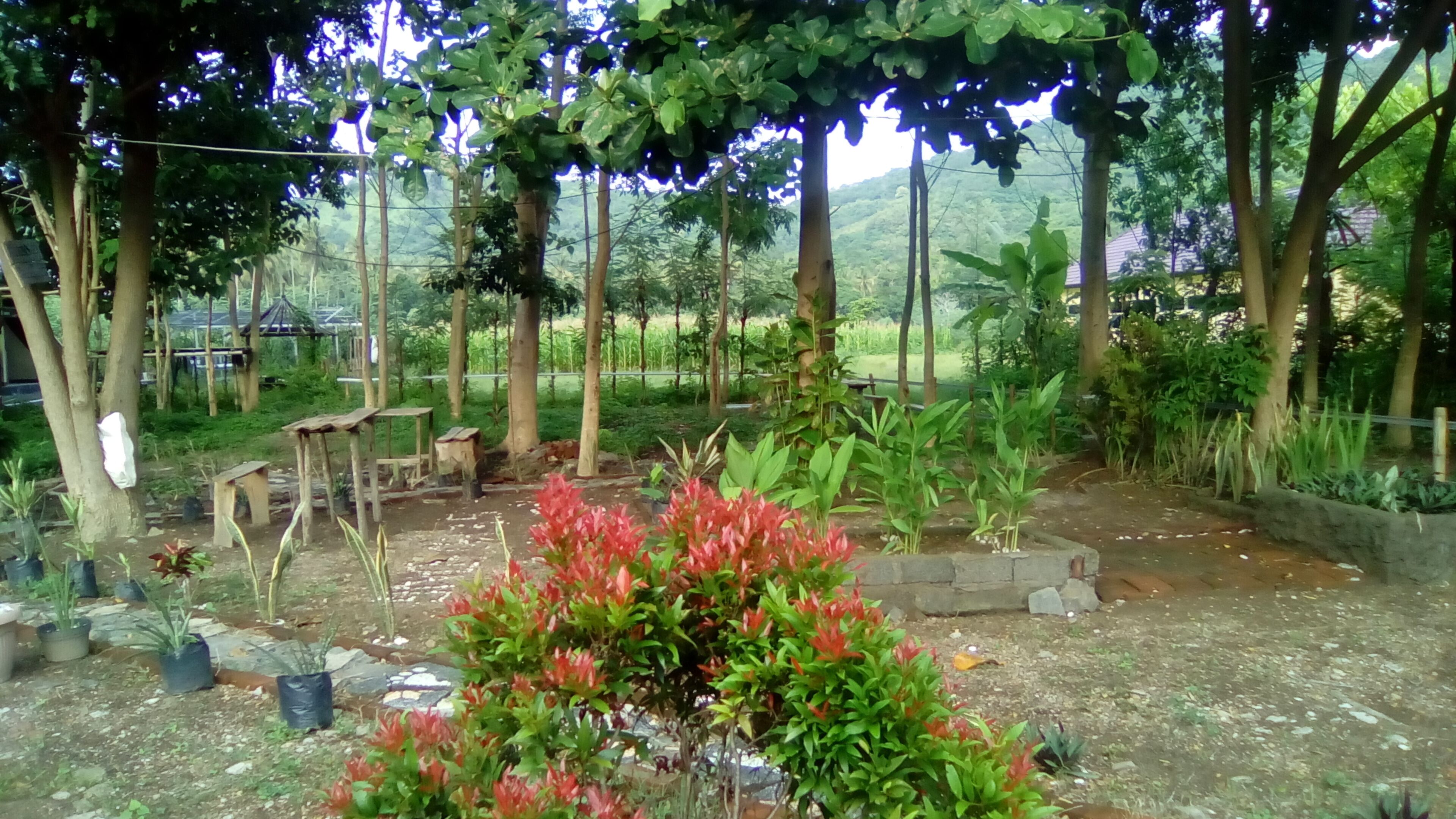 E-dotel Anjani Homestay