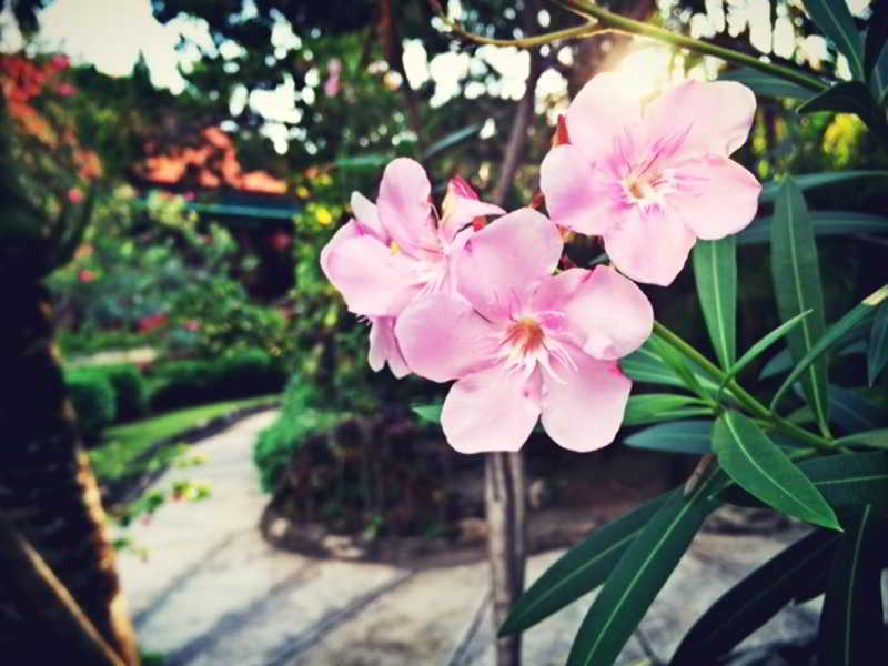 Aruna Senggigi Resort & Convention
