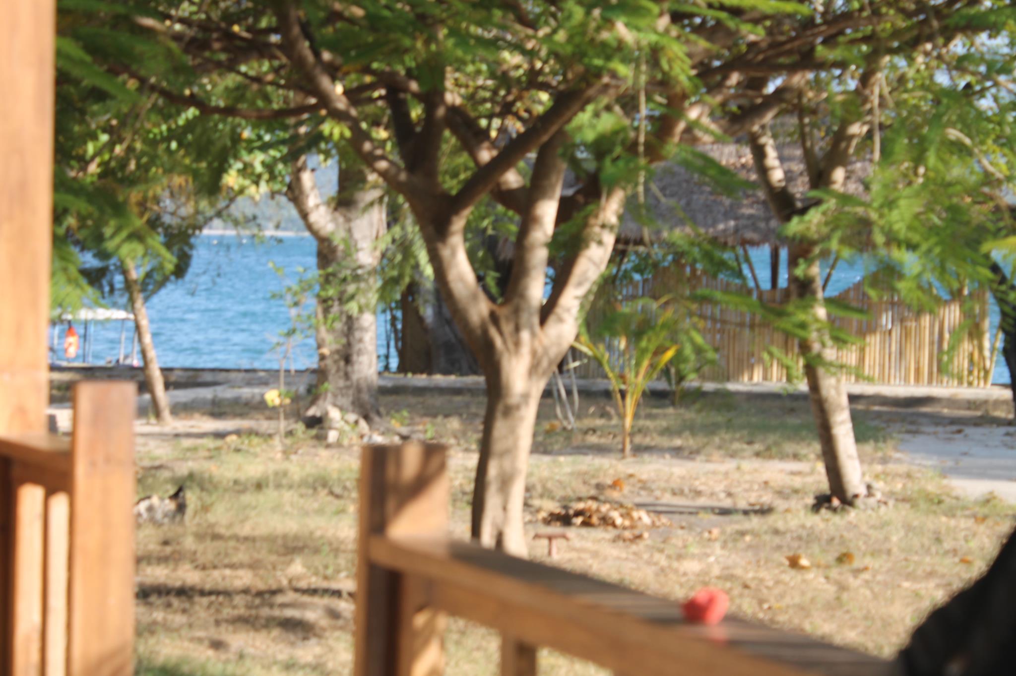 Avatar Raja Bungalow Gili Asahan