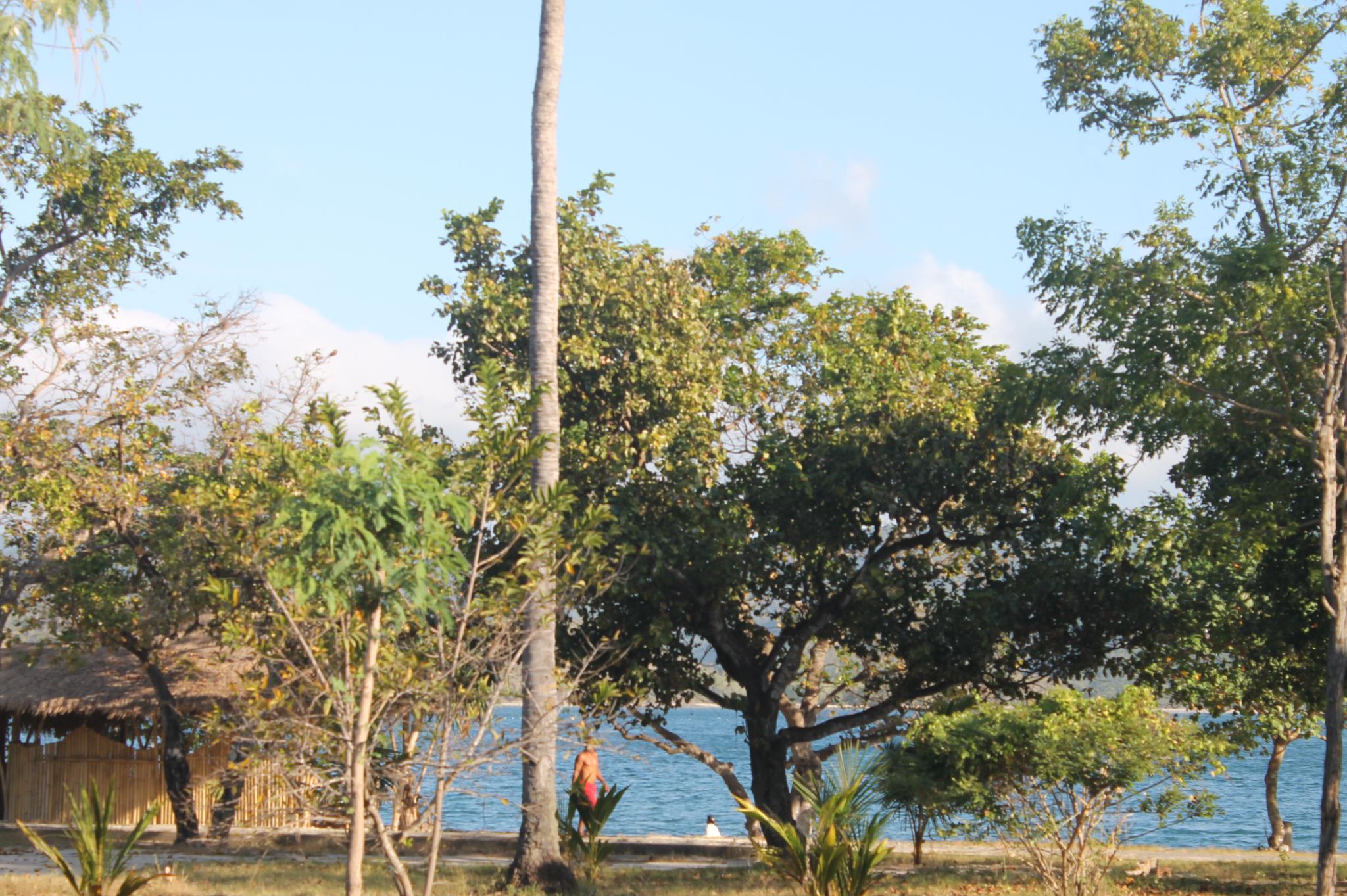 Avatar Raja Bungalow Gili Asahan