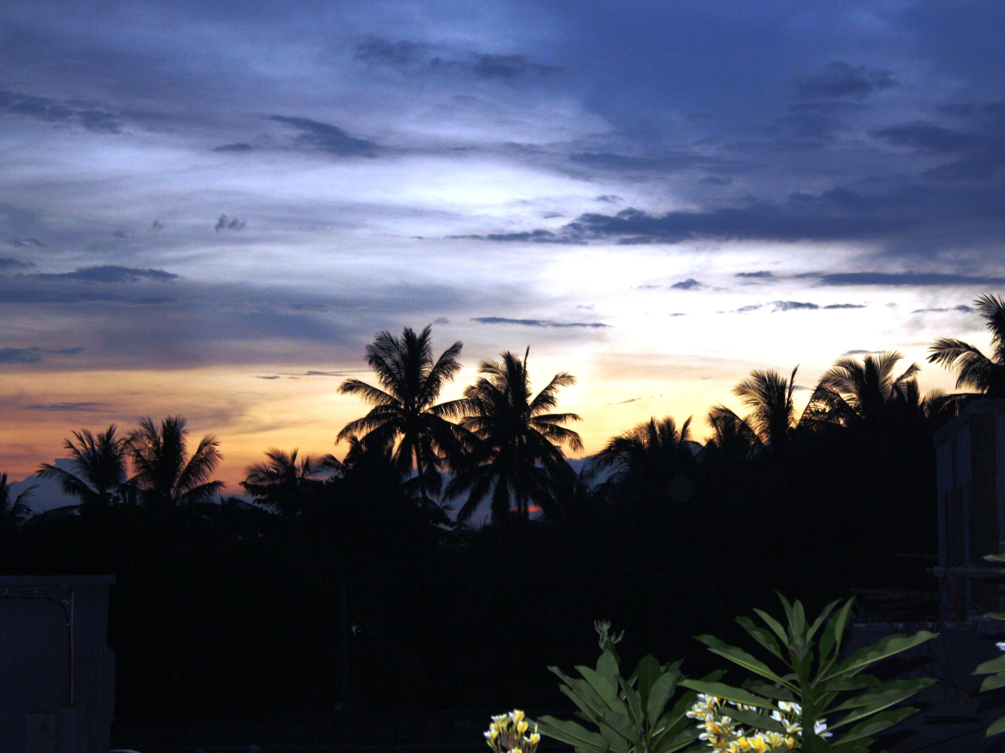Dave Resort And Spa