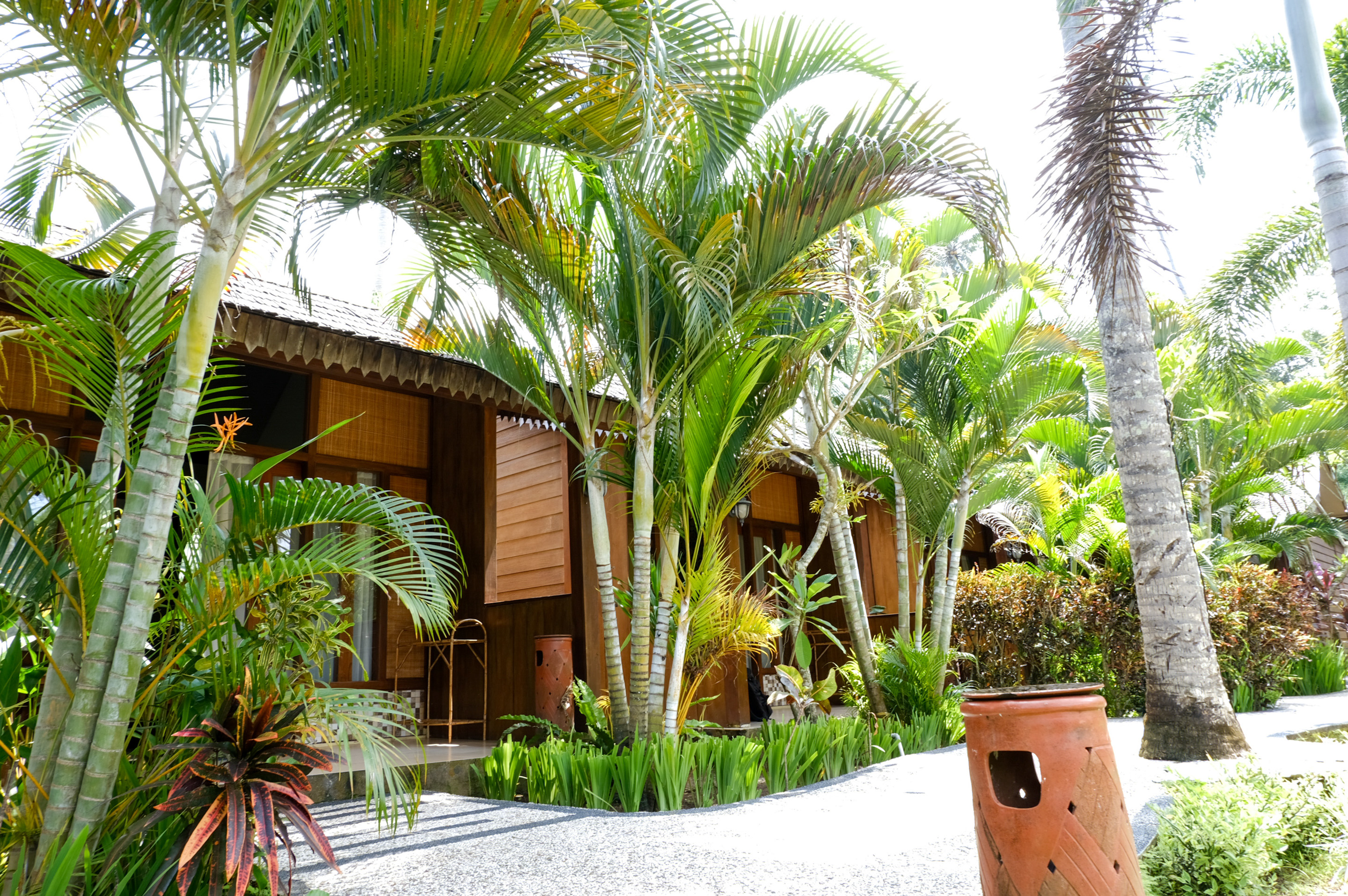 RedDoorz Plus @ Raya Senggigi Lombok