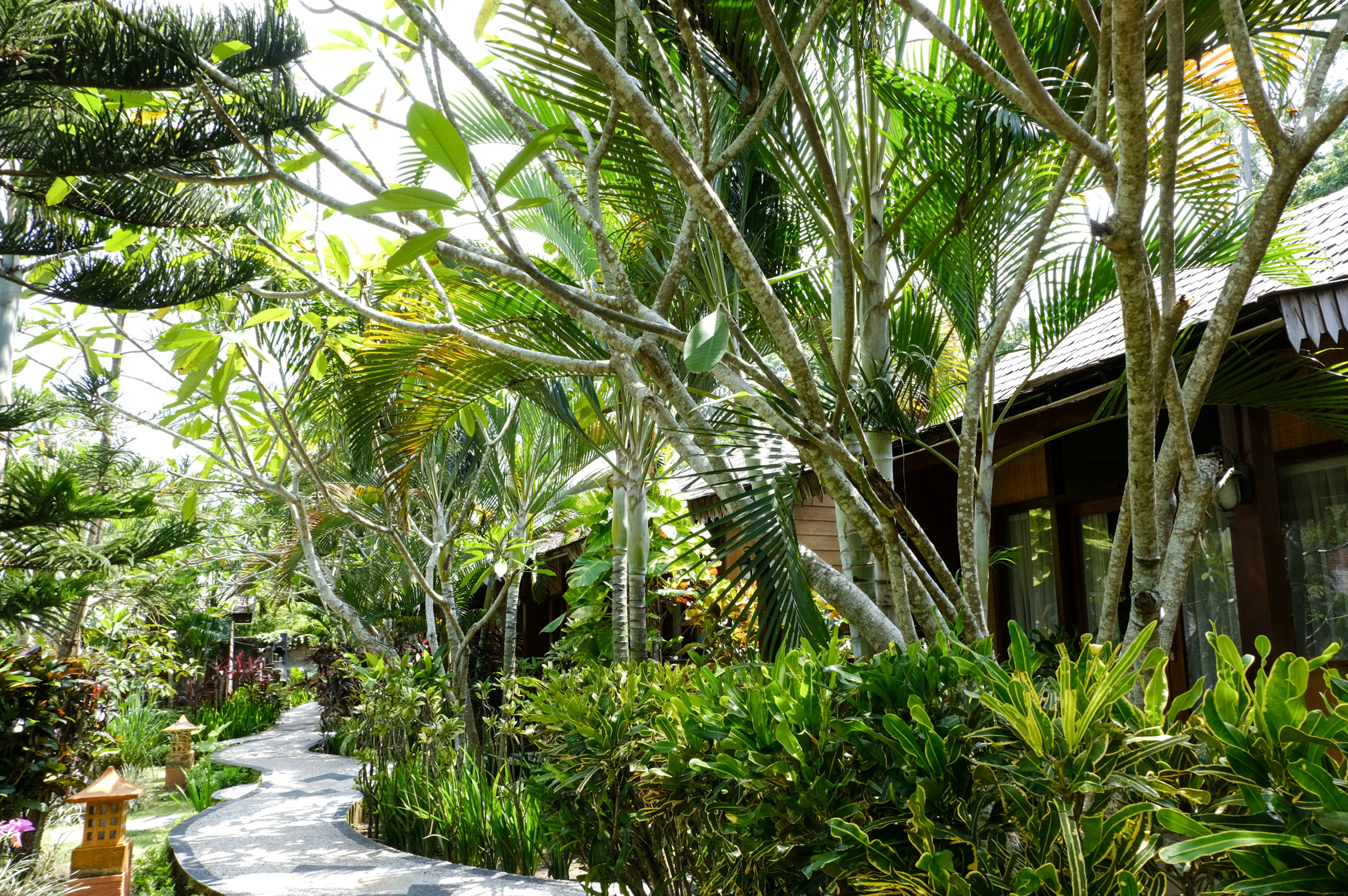 RedDoorz Plus @ Raya Senggigi Lombok